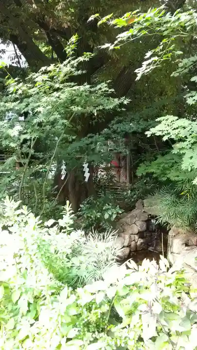 東京大神宮の庭園