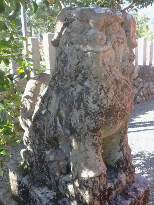 大歳神社の狛犬