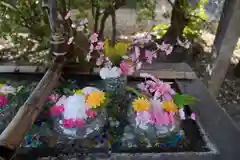 四倉諏訪神社の手水