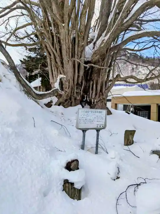 黄金龍神社(桂不動)(北海道)