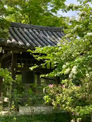 浄瑠璃寺(京都府)