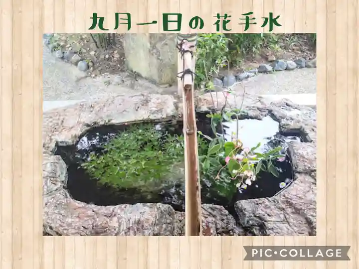阿智神社の手水舎
