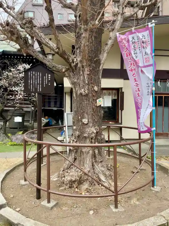 千束稲荷神社の{uncategorized: "未分類", other: "その他", undefined: "問題あり", building: "その他建物", grave: "お墓", sacred_gate: "鳥居", guardian: "狛犬", statue: "像", buddha: "仏像", history: "歴史", nature: "自然", garden: "庭園", animal: "動物", pagoda: "塔", temizu: "手水舎", mountain_gate: "山門・神門", sanctuary: "本殿・本堂", subordinate: "末社・摂社", art: "芸術", scenery: "景色", jizo: "地蔵", ema: "絵馬", goshuin: "御朱印", omikuji: "おみくじ", items: "授与品その他", amulet: "お守り", goshuincho: "御朱印帳", eats: "食事", festival: "お祭り", votive_dance: "神楽", shichigosan: "七五三参", wedding: "結婚式", experience: "体験その他", initially: "初詣", around: "周辺", anti_infection: "感染症対策"}