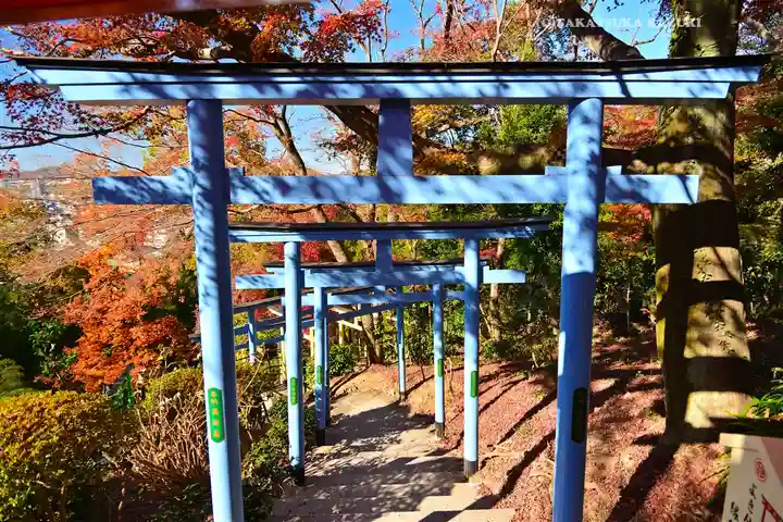 足利織姫神社(栃木県)