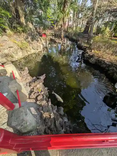 世田谷八幡宮(東京都)