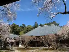 瀧谷寺(福井県)