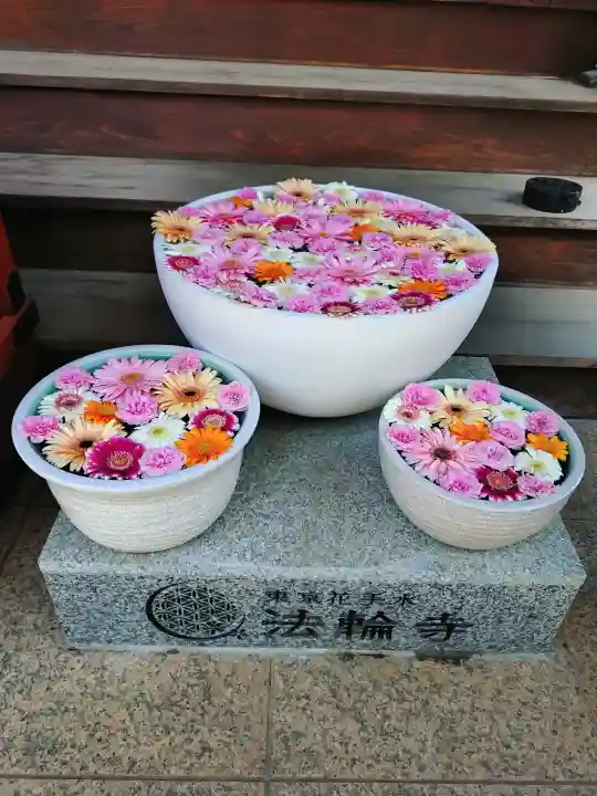 法輪寺の{uncategorized: "未分類", other: "その他", undefined: "問題あり", building: "その他建物", grave: "お墓", sacred_gate: "鳥居", guardian: "狛犬", statue: "像", buddha: "仏像", history: "歴史", nature: "自然", garden: "庭園", animal: "動物", pagoda: "塔", temizu: "手水舎", mountain_gate: "山門・神門", sanctuary: "本殿・本堂", subordinate: "末社・摂社", art: "芸術", scenery: "景色", jizo: "地蔵", ema: "絵馬", goshuin: "御朱印", omikuji: "おみくじ", items: "授与品その他", amulet: "お守り", goshuincho: "御朱印帳", eats: "食事", festival: "お祭り", votive_dance: "神楽", shichigosan: "七五三参", wedding: "結婚式", experience: "体験その他", initially: "初詣", around: "周辺", anti_infection: "感染症対策"}