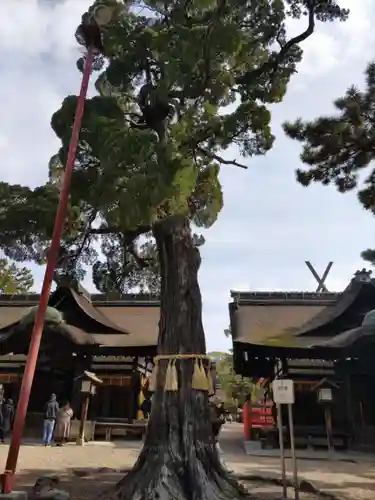 住吉大社の自然