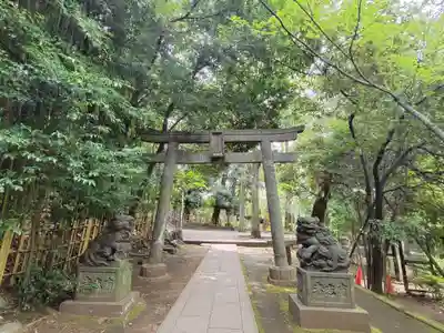 渋谷氷川神社の鳥居