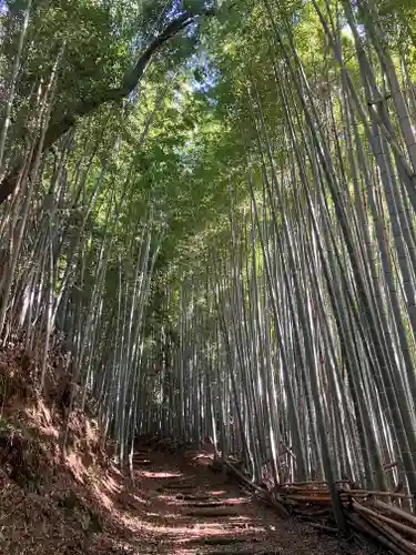 石清水八幡宮(京都府)