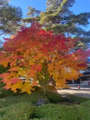 高野山大師教会の自然