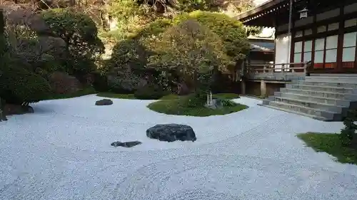 報国寺の庭園