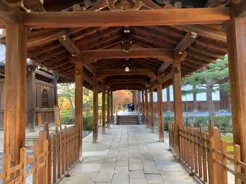 建仁寺（建仁禅寺）(京都府)