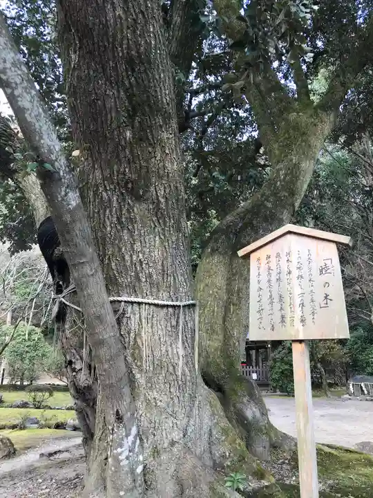 賀茂別雷神社(上賀茂神社)の自然