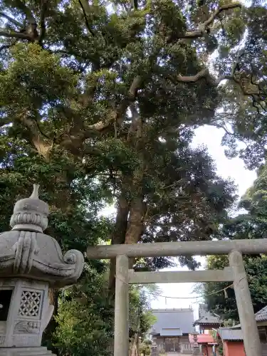 神明社(千葉県)