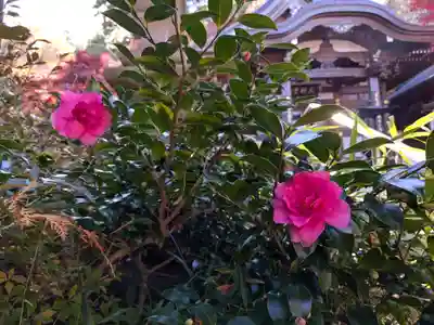 高幡不動尊 金剛寺の自然