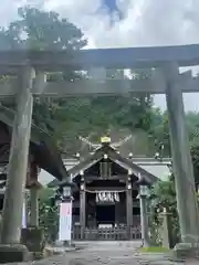 新羽杉山神社の鳥居