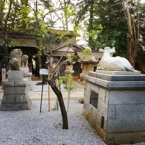 小金井神社の狛犬