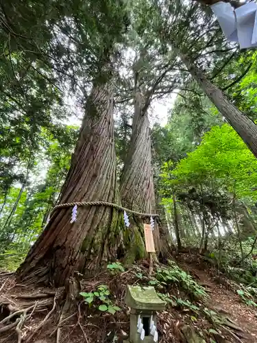 戸隠神社火之御子社(長野県)