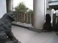 築土神社の狛犬