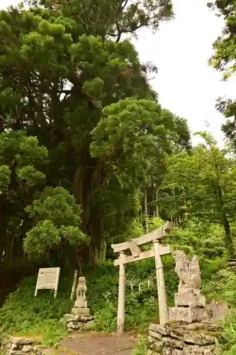 五所神社(徳島県)
