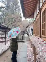 豪徳寺(東京都)