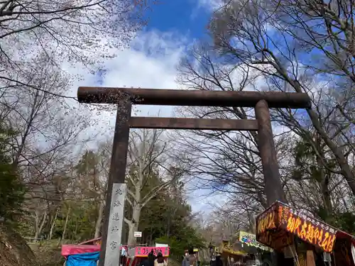 北海道神宮の鳥居