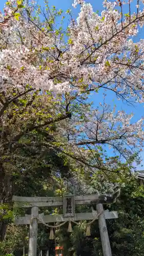 雙栗神社(京都府)