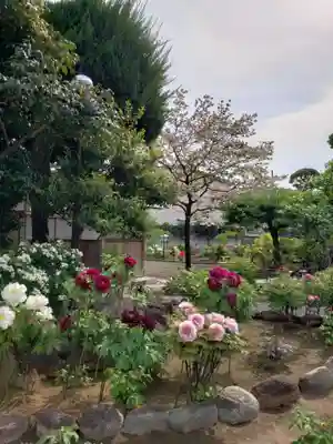 禅定院(東京都)