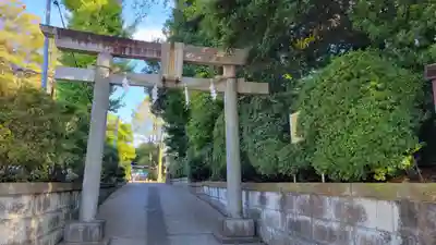 豊玉氷川神社の鳥居