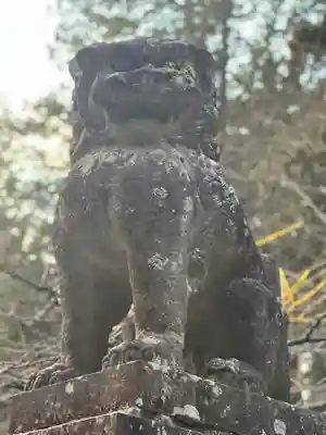 北口本宮冨士浅間神社の狛犬