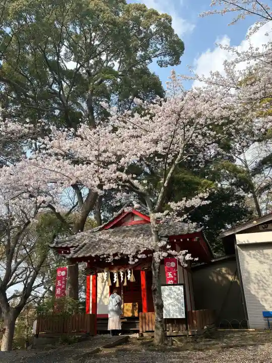 玉前神社の{uncategorized: "未分類", other: "その他", undefined: "問題あり", building: "その他建物", grave: "お墓", sacred_gate: "鳥居", guardian: "狛犬", statue: "像", buddha: "仏像", history: "歴史", nature: "自然", garden: "庭園", animal: "動物", pagoda: "塔", temizu: "手水舎", mountain_gate: "山門・神門", sanctuary: "本殿・本堂", subordinate: "末社・摂社", art: "芸術", scenery: "景色", jizo: "地蔵", ema: "絵馬", goshuin: "御朱印", omikuji: "おみくじ", items: "授与品その他", amulet: "お守り", goshuincho: "御朱印帳", eats: "食事", festival: "お祭り", votive_dance: "神楽", shichigosan: "七五三参", wedding: "結婚式", experience: "体験その他", initially: "初詣", around: "周辺", anti_infection: "感染症対策"}