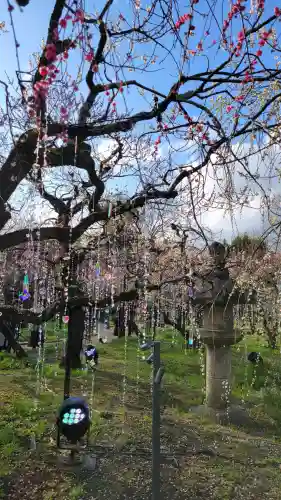 北野天満宮の{uncategorized: "未分類", other: "その他", undefined: "問題あり", building: "その他建物", grave: "お墓", sacred_gate: "鳥居", guardian: "狛犬", statue: "像", buddha: "仏像", history: "歴史", nature: "自然", garden: "庭園", animal: "動物", pagoda: "塔", temizu: "手水舎", mountain_gate: "山門・神門", sanctuary: "本殿・本堂", subordinate: "末社・摂社", art: "芸術", scenery: "景色", jizo: "地蔵", ema: "絵馬", goshuin: "御朱印", omikuji: "おみくじ", items: "授与品その他", amulet: "お守り", goshuincho: "御朱印帳", eats: "食事", festival: "お祭り", votive_dance: "神楽", shichigosan: "七五三参", wedding: "結婚式", experience: "体験その他", initially: "初詣", around: "周辺", anti_infection: "感染症対策"}