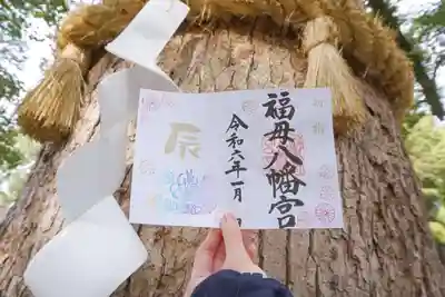 令和6年1月1日より頒布の見開き御朱印🌸
こちらも来年の干支にちなんだ御朱印です。

書き手在所の場合は直接揮毫可能ですが、御祈祷奉仕中等は
書置きのみの対応となります事ご了承下さいませm(__)m