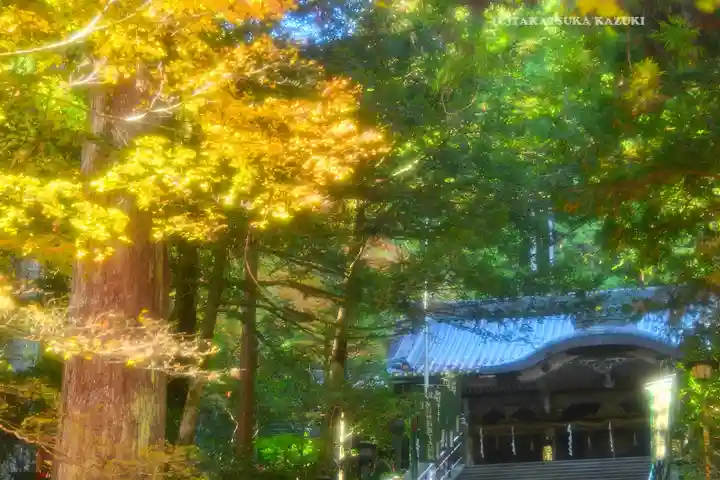 最乗寺(道了尊)(神奈川県)