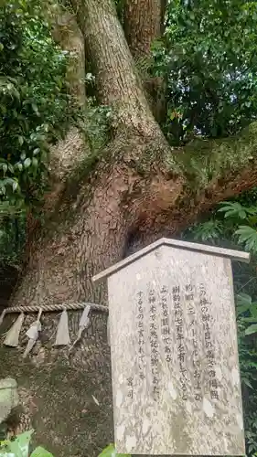 田井八幡宮(岡山県)