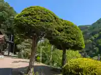 善久寺(岐阜県)