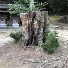 白鬚神社(滋賀県)