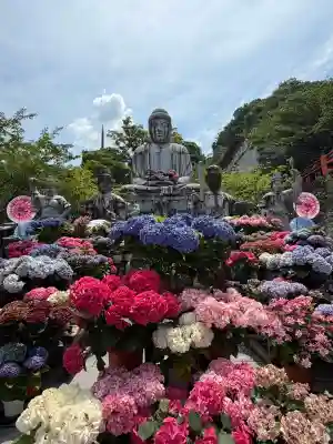 南法華寺(壷阪寺)(奈良県)