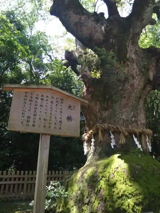 熱田神宮(愛知県)