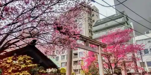 蔵前神社(東京都)
