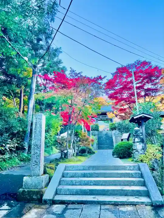 海蔵寺(神奈川県)