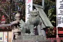 浅草神社の狛犬