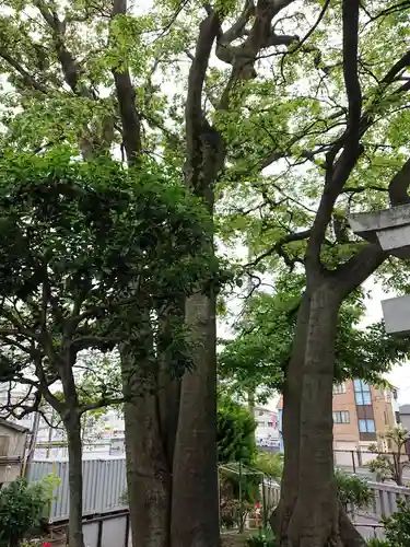 川除稲荷社(神奈川県)