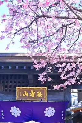 密藏院(埼玉県)