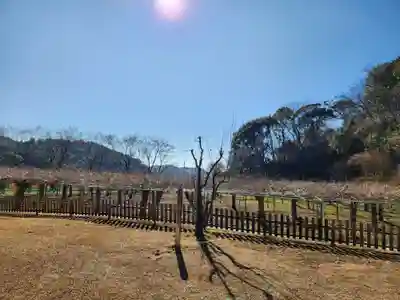 和気神社の周辺