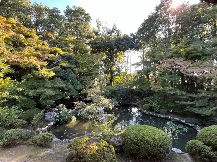 隨心院(随心院)(京都府)