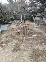 松山神社(愛媛県)