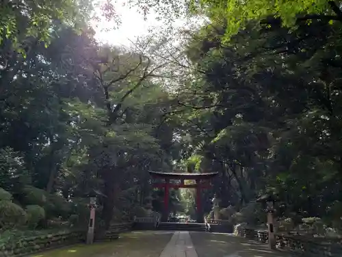 大宮八幡宮の鳥居