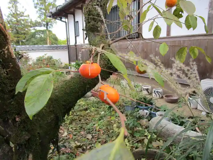 當麻寺中之坊(奈良県)